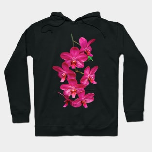 Orchids - Cascade Magenta Orchids Hoodie